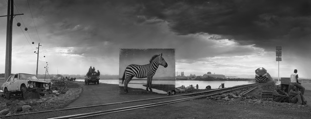 Poruszające zdjęcia ginących gatunków zwierząt autorstwa Nicka Brandta, fot. Nick Brandt