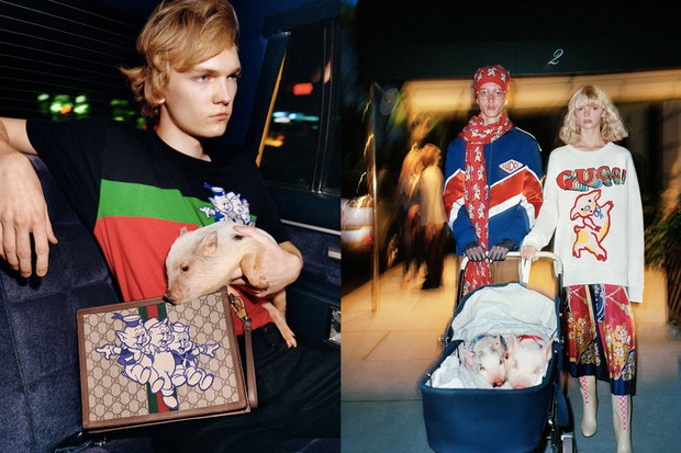 Mikroświnki w kampanii Gucci