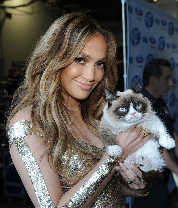 Grumpy Cat