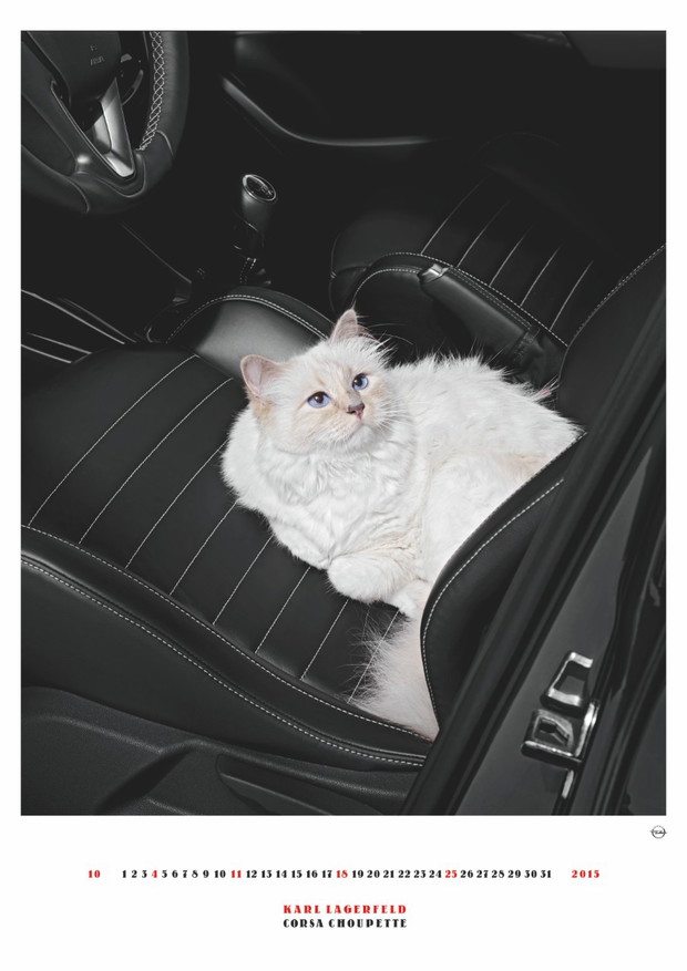 Karl Lagerfeld fotografuje Opla. Zobacz zdjęcia z kalendarza.