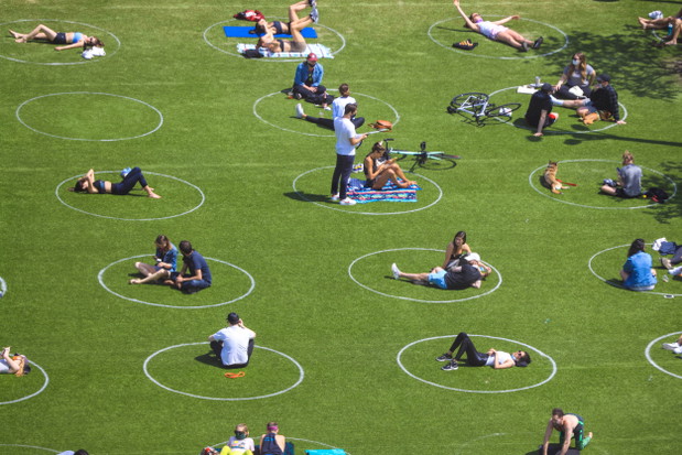 Wyznaczone miejsca na piknik w Nowym Jorku