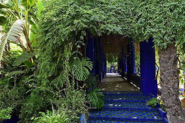 Jardin Majorelle