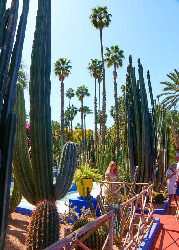 Jardin Majorelle