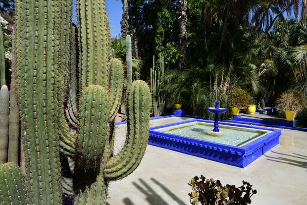 Jardin Majorelle
