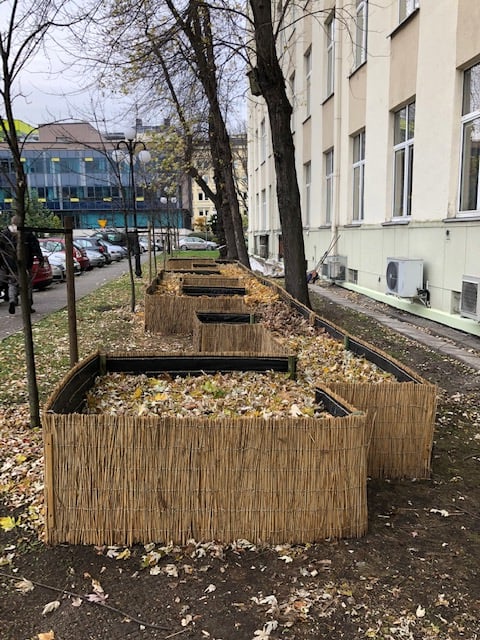 Domek dla jeży na krakowskiej AGH