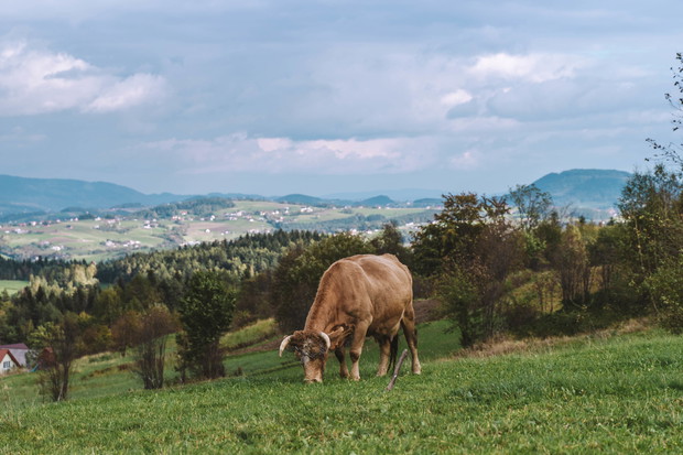 Małopolska i Bieszczady widziane oczami influencerów. Oto najpiękniejsze miejsca, które warto wpisać na swoją przyszłoroczną listę must see