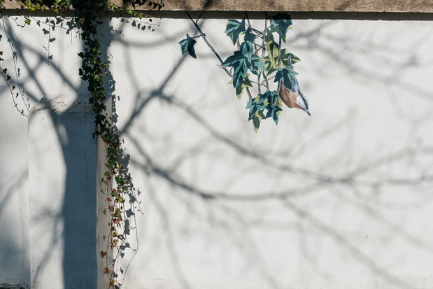 Ptasi mural na cmentarzu żydowskim w Oświęcimiu, autor Wojciech Rokosz
