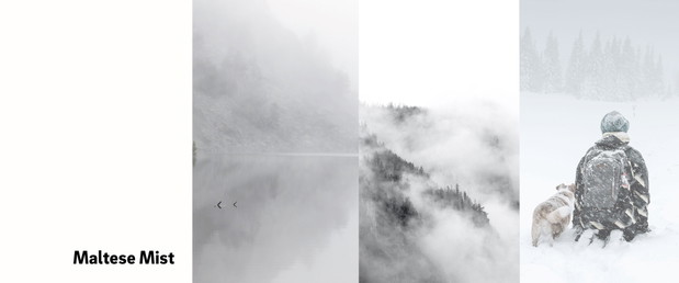 RAUVISIO noir, Maltese Mist