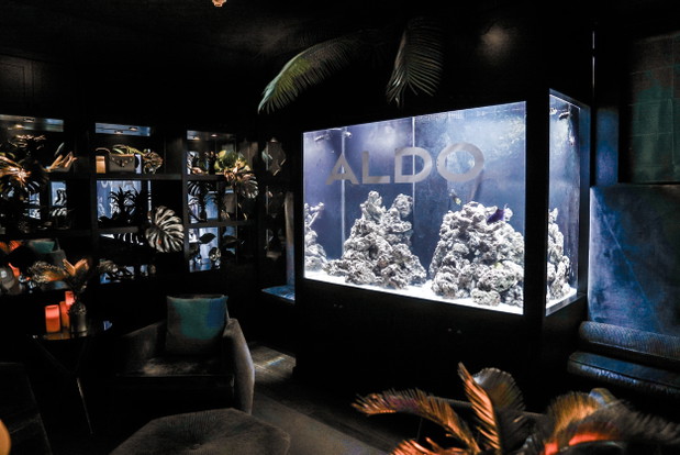 VIP party marki Aldo