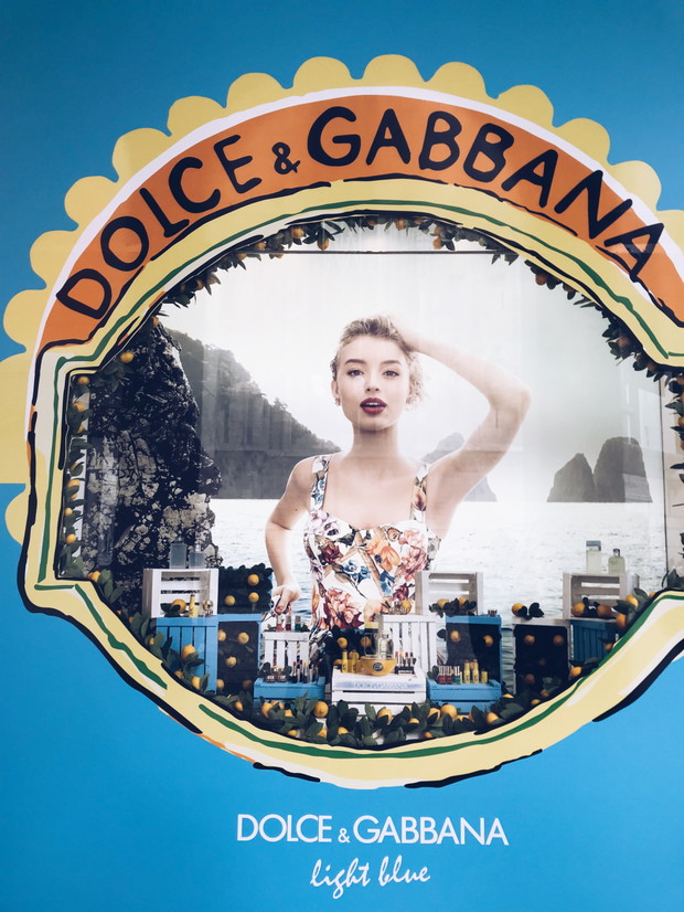 Witryna D&G