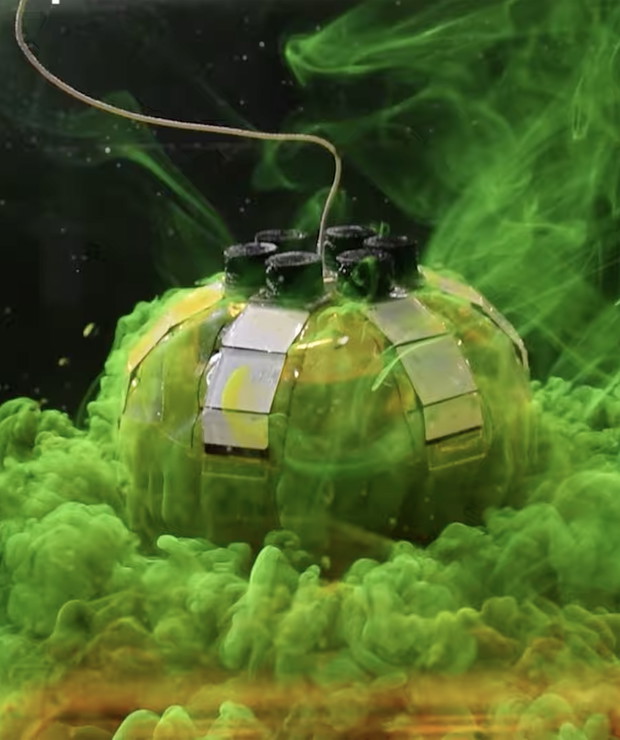 Jellyfish-Bot