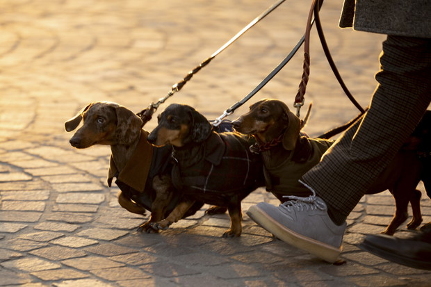 Pitti Uomo street style