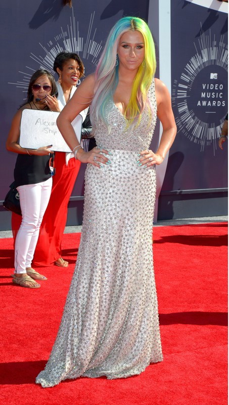 MTV Video Music Awards 2014