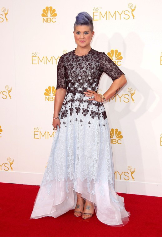 Primetime Emmy Awards 2014