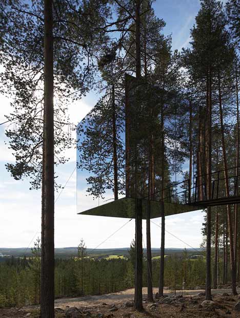 Tree Hotel - hotel z pokojem na drzewie