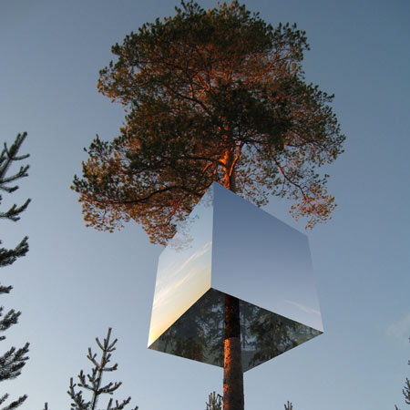 Tree Hotel - hotel z pokojem na drzewie