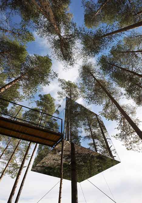 Tree Hotel - hotel z pokojem na drzewie