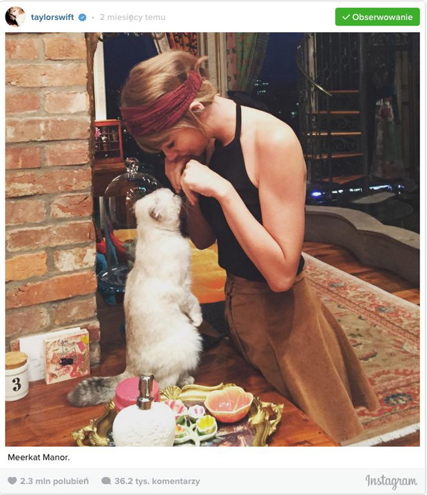 10 najpopularniejszych zdjęć na Instagramie w 2015 roku. 7. miejsce należy do Taylor Swift (i ponownie jej kota). Post zdobył 2,3 miliony lajków