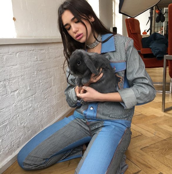 Kim jest Dua Lipa?