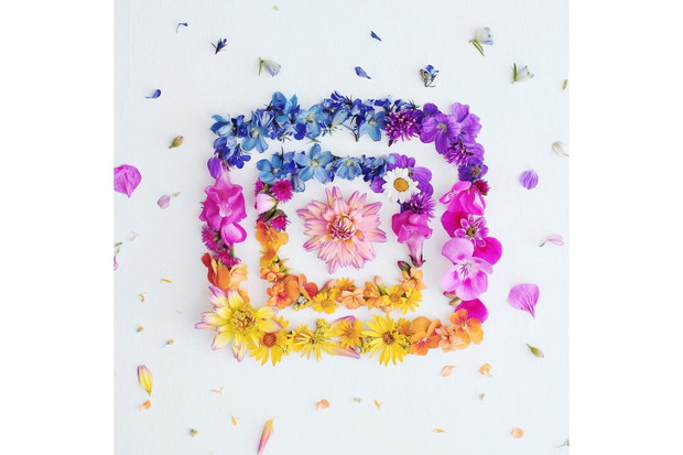 Nowe logo Instagrama - jak je widzą artyści?, fot. instagram runnerkimhall
