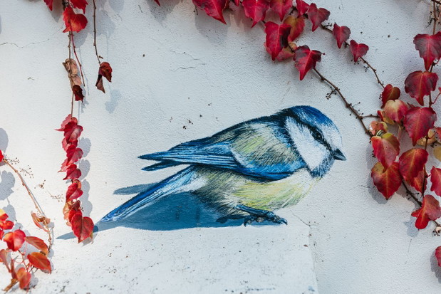 Ptasi mural na cmentarzu żydowskim w Oświęcimiu, autor Wojciech Rokosz