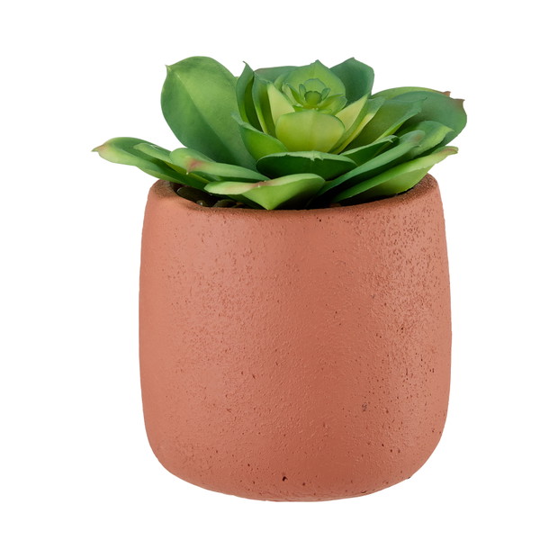 50 inspiracji na otwarcie 50 sklepu TK Maxx w Polsce
