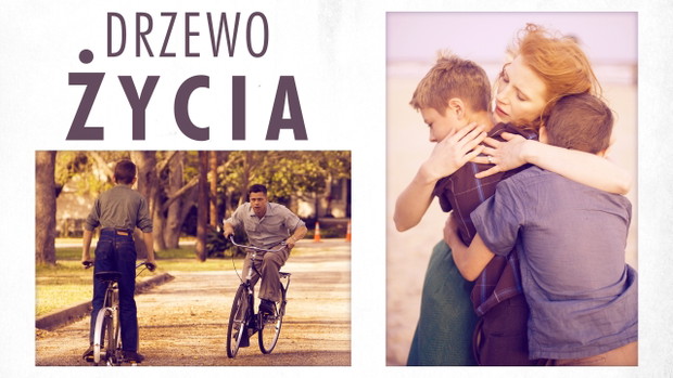 Drzewo życia (1.12.2017)