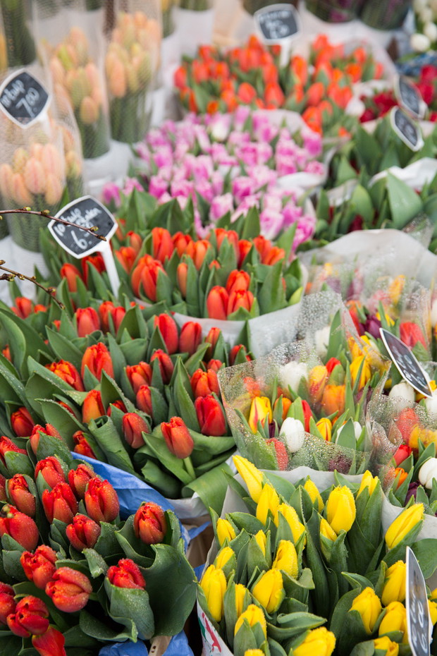 TravELLE Guide: co zobaczyć w Amsterdamie?