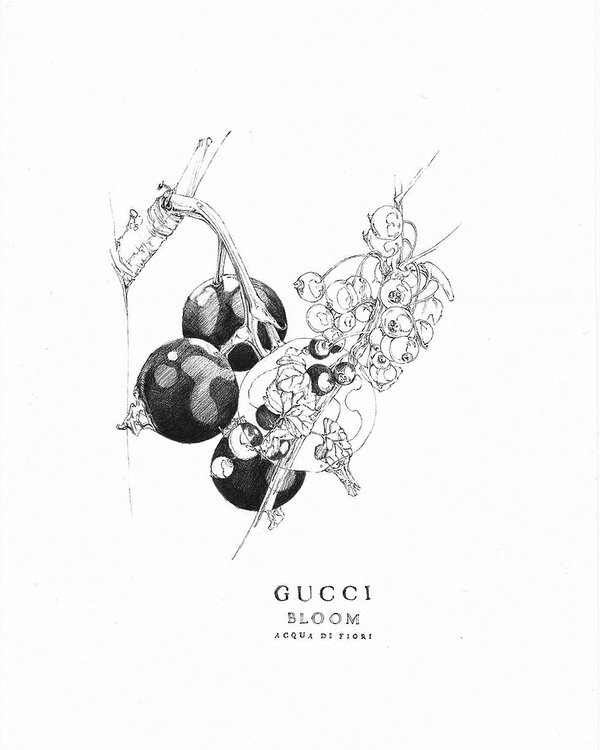 Ilustracje Gucci Bloom