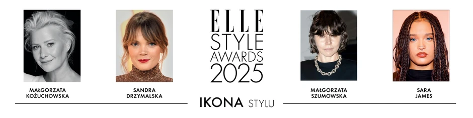 ikona