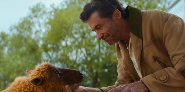 Hugh Jackman w filmie "Sprawiedliwość owiec"
