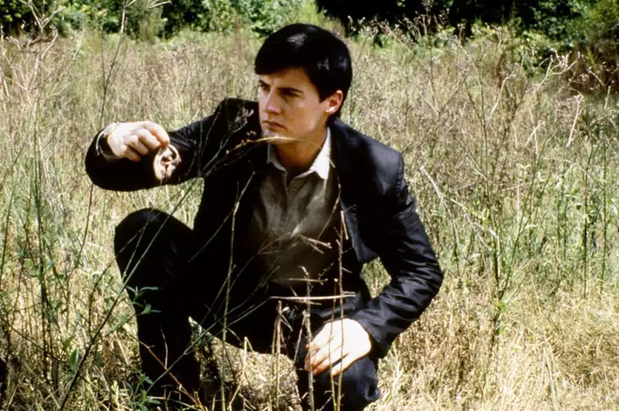 Blue Velvet 