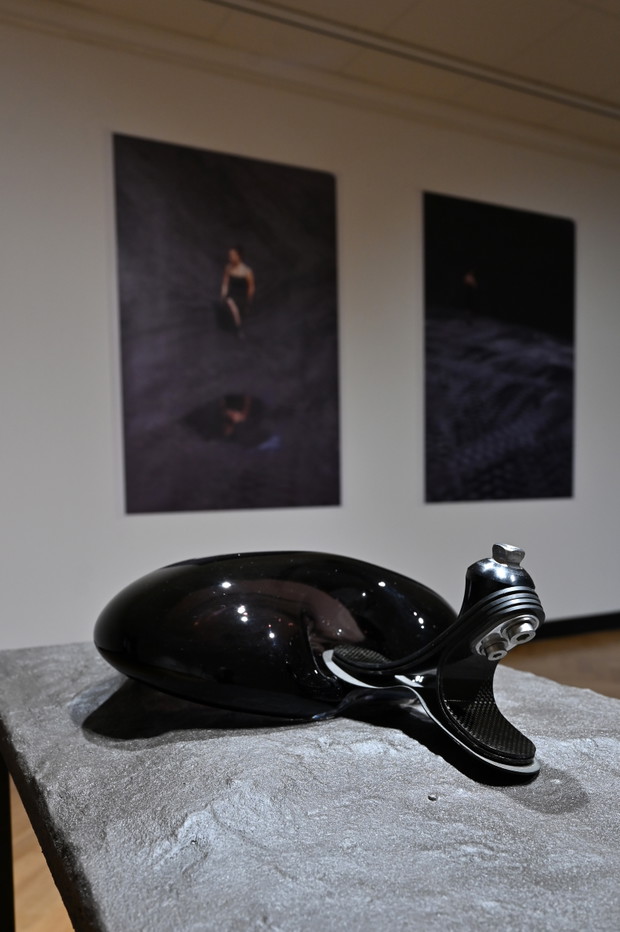 Artystka Joanna Pawlik, fotografie i obiekt 2