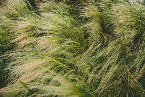 fot: unsplash