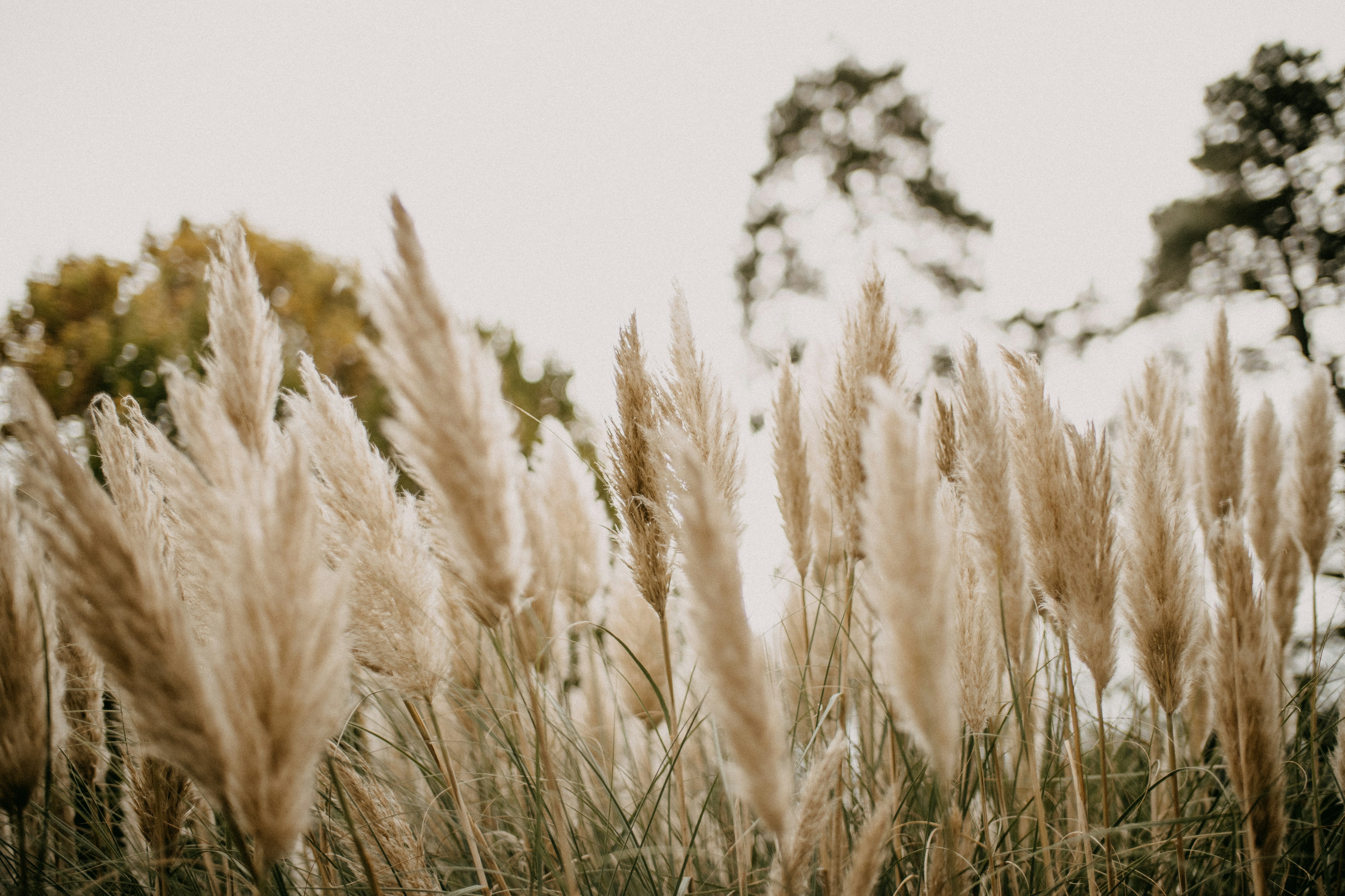 fot. unsplash