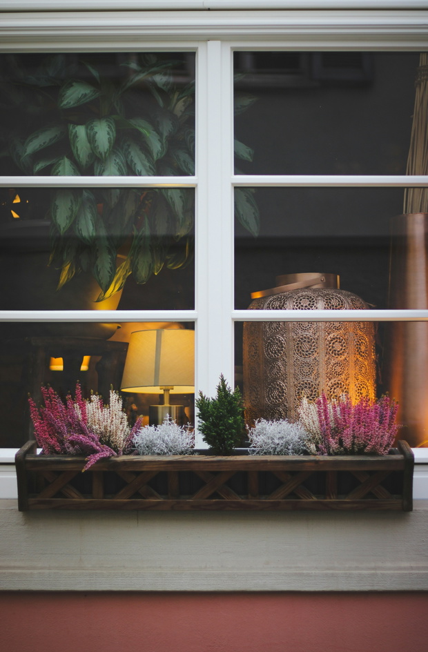 fot: unsplash