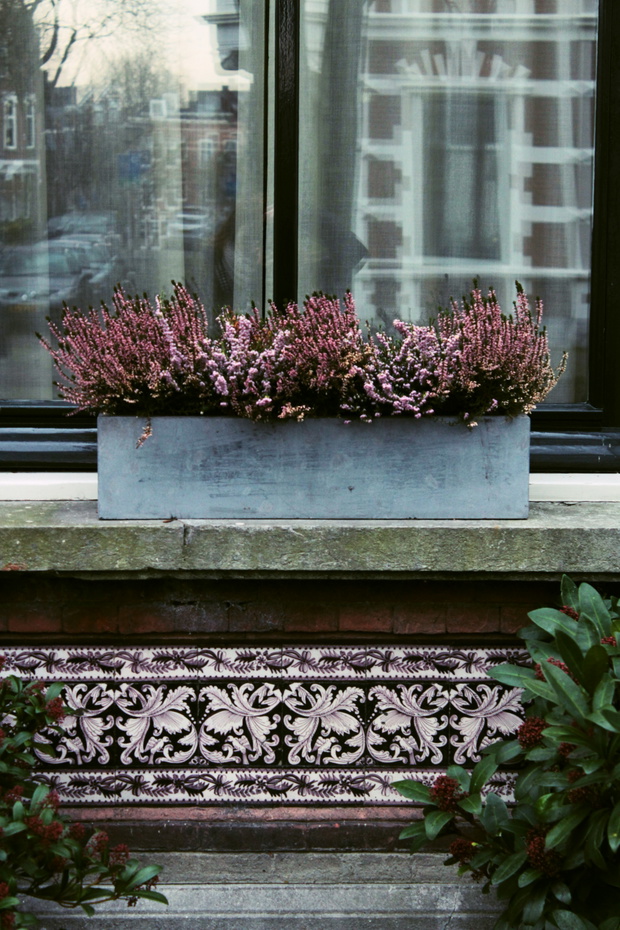 fot: unsplash