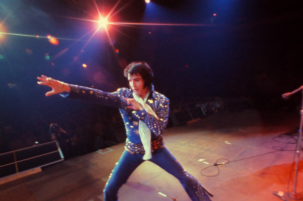 Elvis