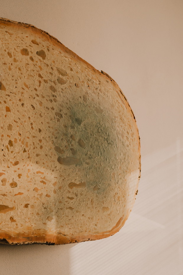 BreslauRed