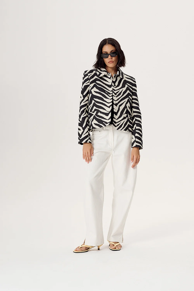 zebra