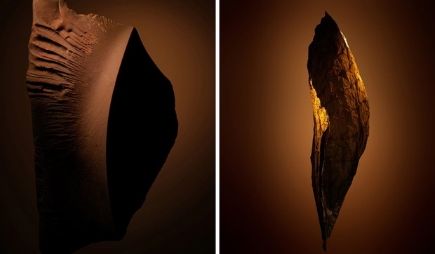 Perfumy Tobacco Chocolat Tom Ford – nowość na jesień 2026. Photo: mat. prasowe