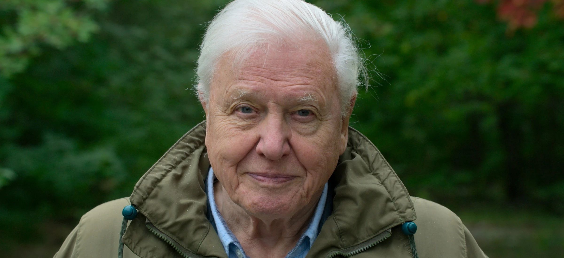 David Attenborough: "Życie na naszej planecie”.