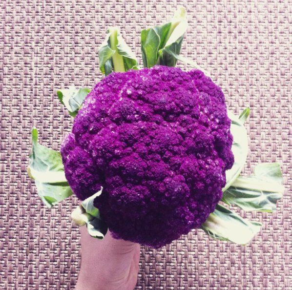 Instagram #vegan