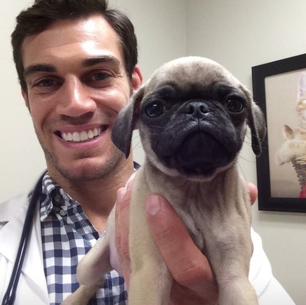 via @dr.evanantin Instagram