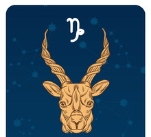 Horoskop 2020 Koziorożec (22.12–19.01): roczny horoskop miłosny, partnerski, finansowy i zdrowotny na 2020 rok