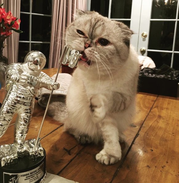 taylorswift