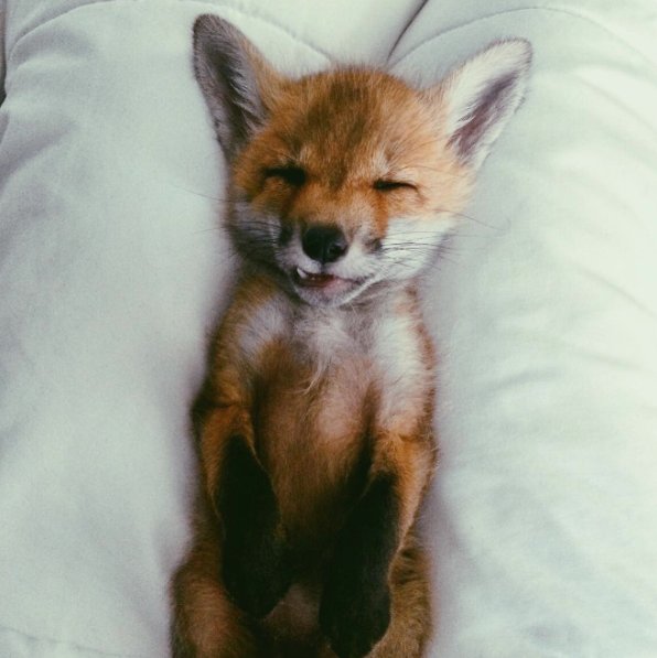 @juniperfoxx Instagram