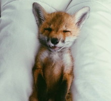 @juniperfoxx Instagram