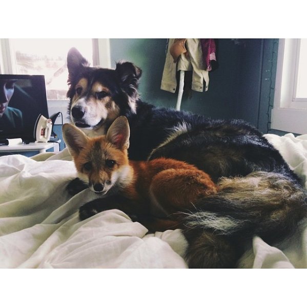@juniperfoxx Instagram