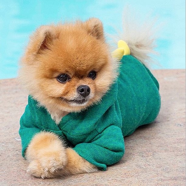 Afternoon-Pool-Calls-Chic-Outfit